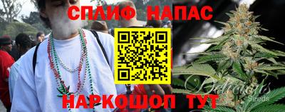 тгк Кимры