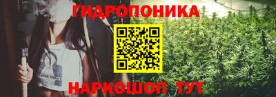 прущая мука Кингисепп