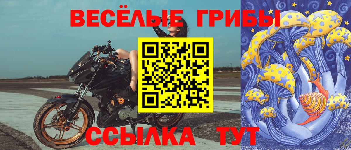 Псилоцибиновые грибы MAGIC MUSHROOMS  Вход с VPN  Кувандык 